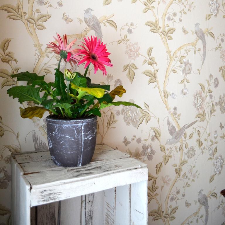 Bed and Breakfast La Casa Del Duca Мілан Номер фото